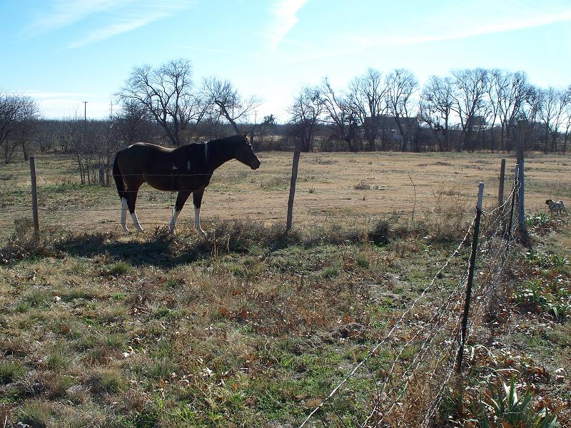 xmas_in_wichita_falls_001.jpg