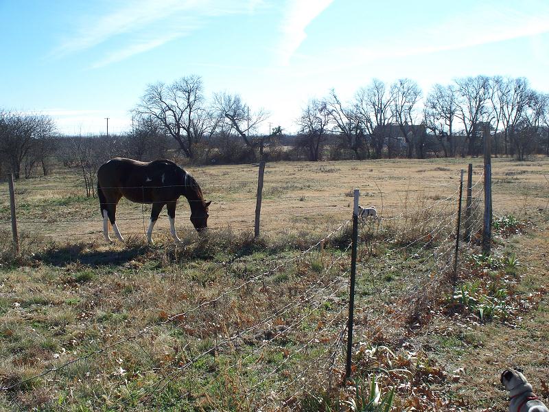 xmas_in_wichita_falls_002.jpg