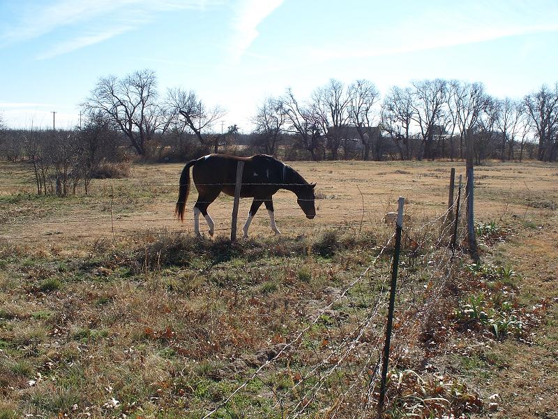 xmas_in_wichita_falls_003.jpg