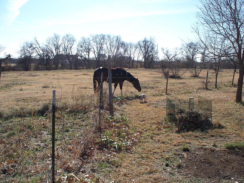 xmas_in_wichita_falls_004.jpg